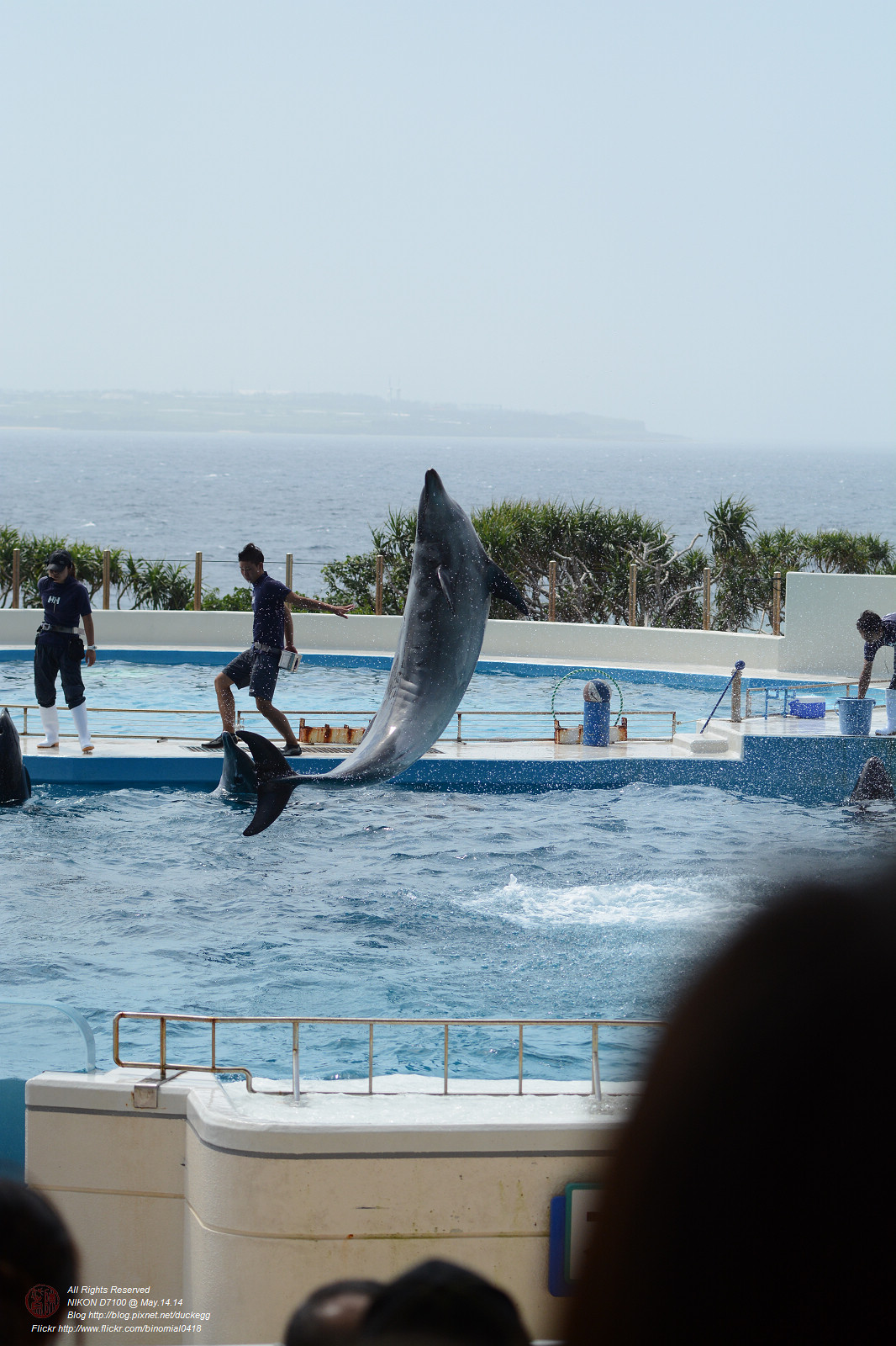 DSC_3087.jpg